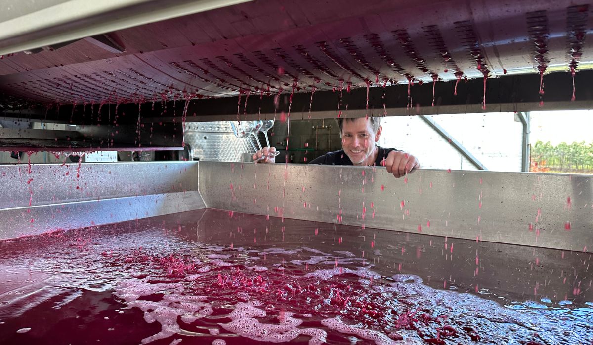 A vat of red wine in Domenica - Beechworth